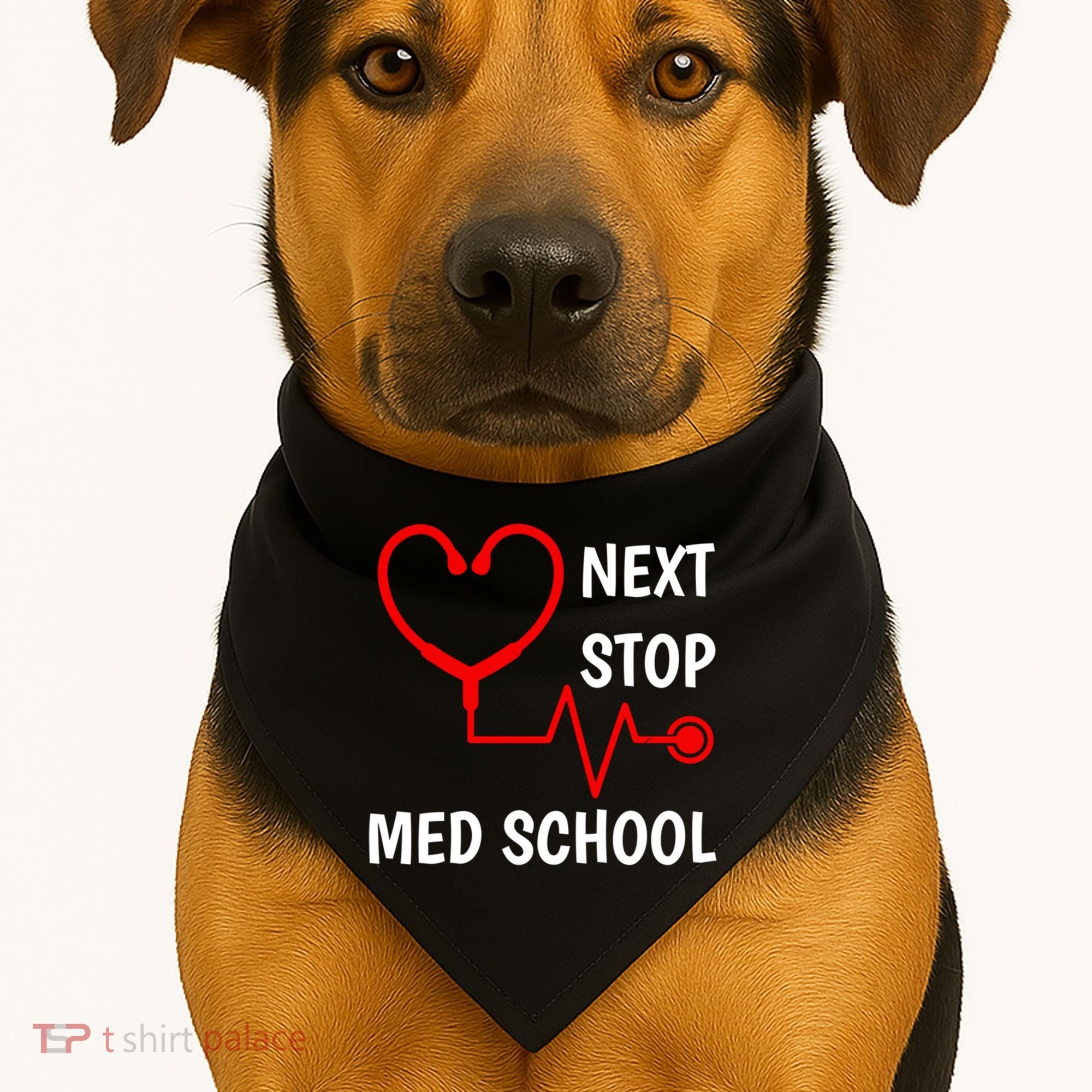 Next Stop Medical School Gift Med School Gift Med Student Gift USA-Made Doggie Bandana