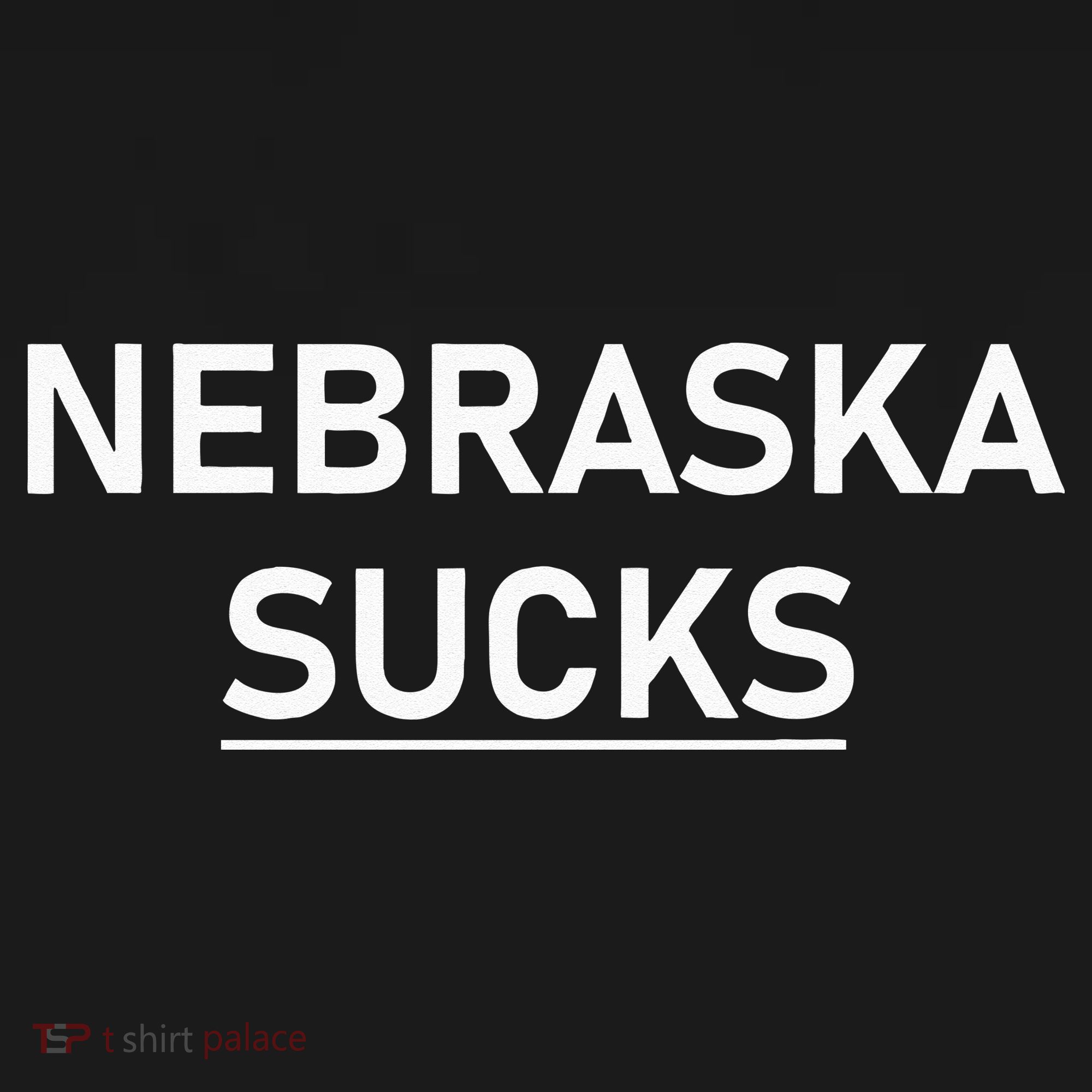 Nebraska Sucks Apron