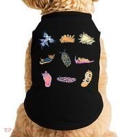 Nudibranch Sea Slug Marine Biologist And Aquarist Doggie Tank thumb 0