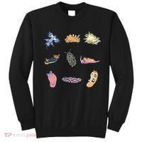 Nudibranch Sea Slug Marine Biologist And Aquarist Sweatshirt thumb 0