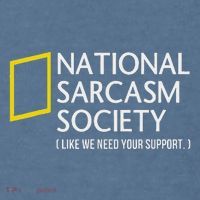 National Sarcasm Society Like We Need Your Support Comfort Colors Garment-Dyed Hooded Sweatshirt thumb 2
