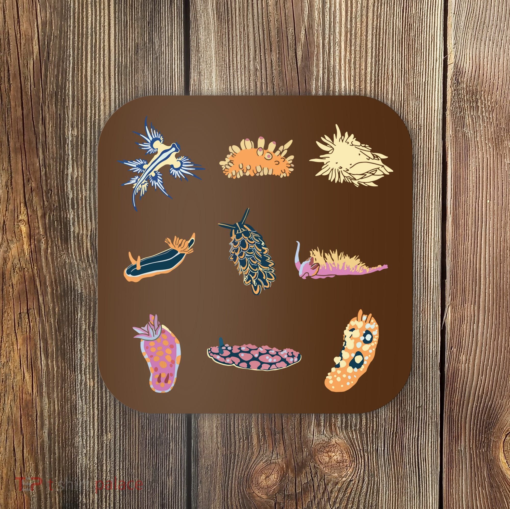 Nudibranch Sea Slug Marine Biologist And Aquarist Coaster