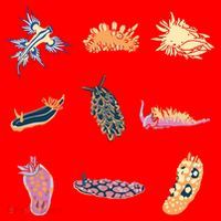 Nudibranch Sea Slug Marine Biologist And Aquarist Santa Hat thumb 1