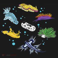 Nudibranch Sea Slug Ocean Scuba Diver Snorkeling Aquarium Women's Hoodie thumb 2