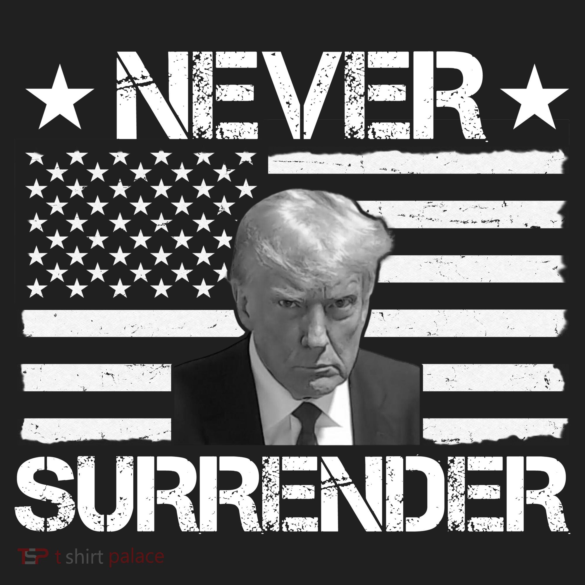 Never Surrender Trump American Flag Beanie