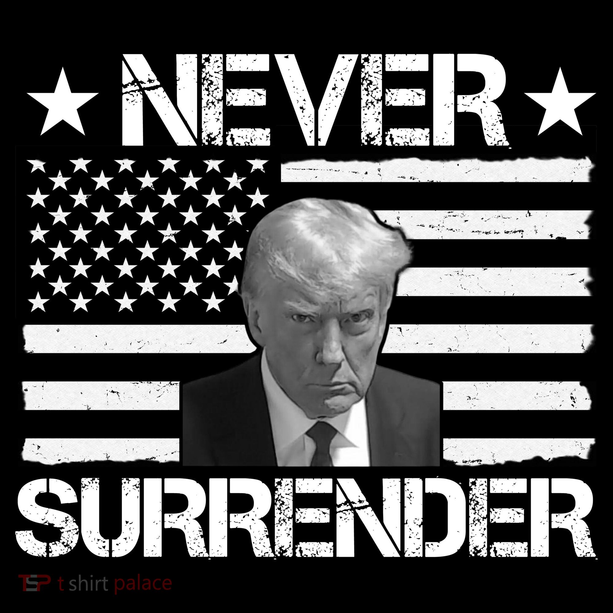 Never Surrender Trump American Flag Toddler Hoodie