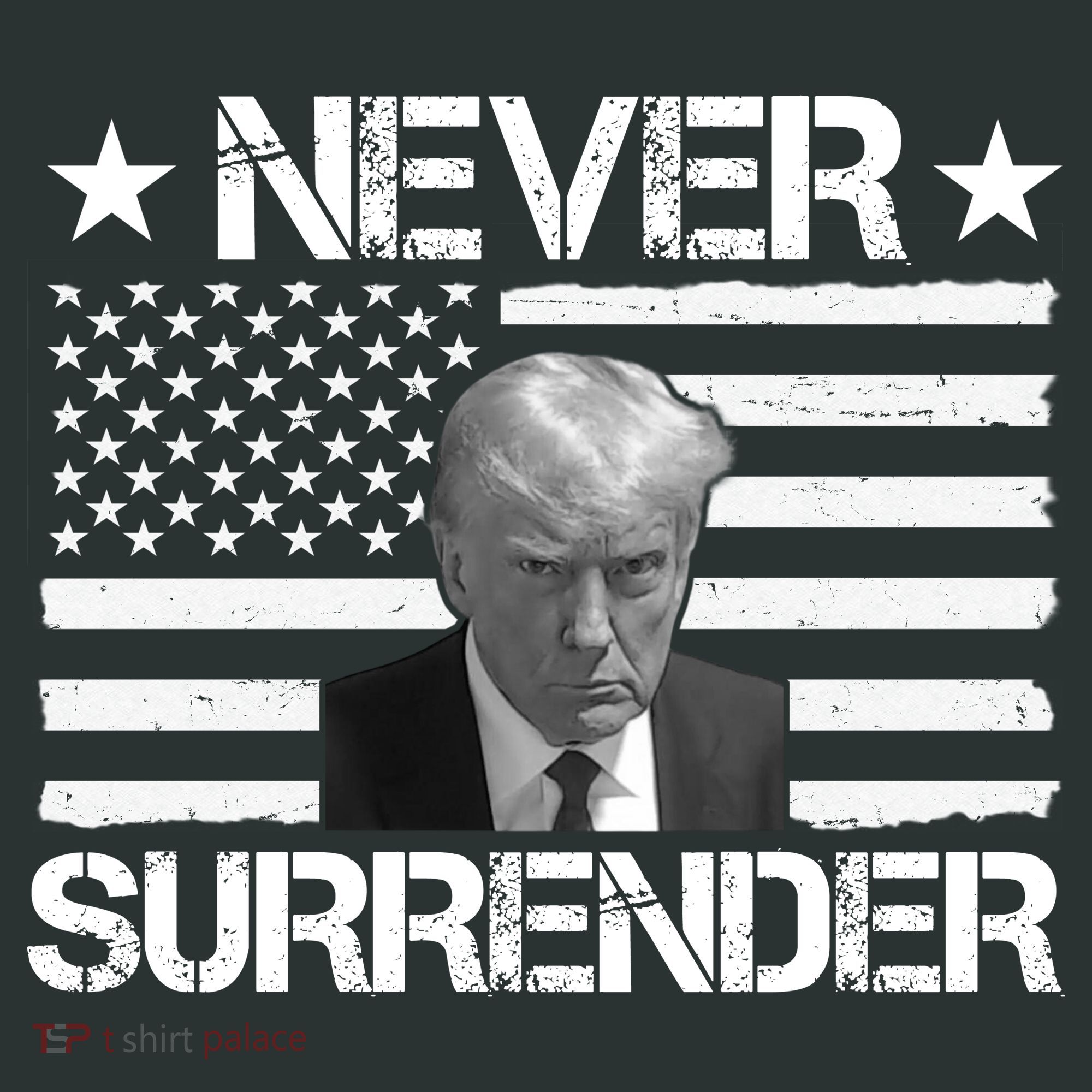 Never Surrender Trump American Flag Kids Hoodie