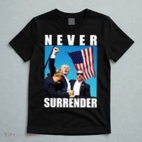 Never Surrender Trump 2024 Pennsylvania Rally Shooting T-Shirt thumb 5