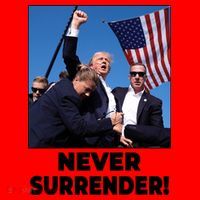 Never Surrender Trump Rally Shooting Donald Trump Statement Santa Hat thumb 1