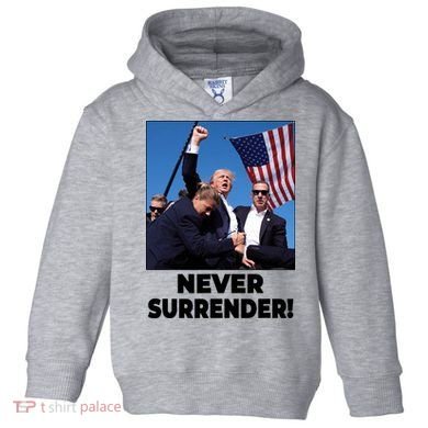 Never Surrender Trump Rally Shooting Donald Trump Statement Toddler Hoodie