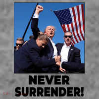 Never Surrender Trump Rally Shooting Donald Trump Statement Toddler Hoodie thumb 2
