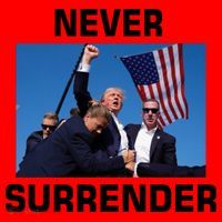Never Surrender Trump Pennsylvania Rally Santa Hat thumb 1