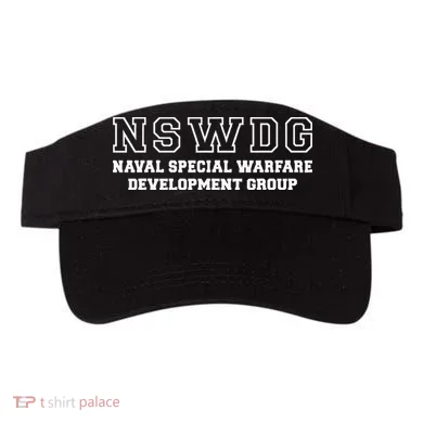 Visor