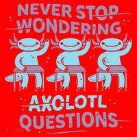 Never Stop Wondering AXOLOTL QUESTIONS Santa Hat thumb 1