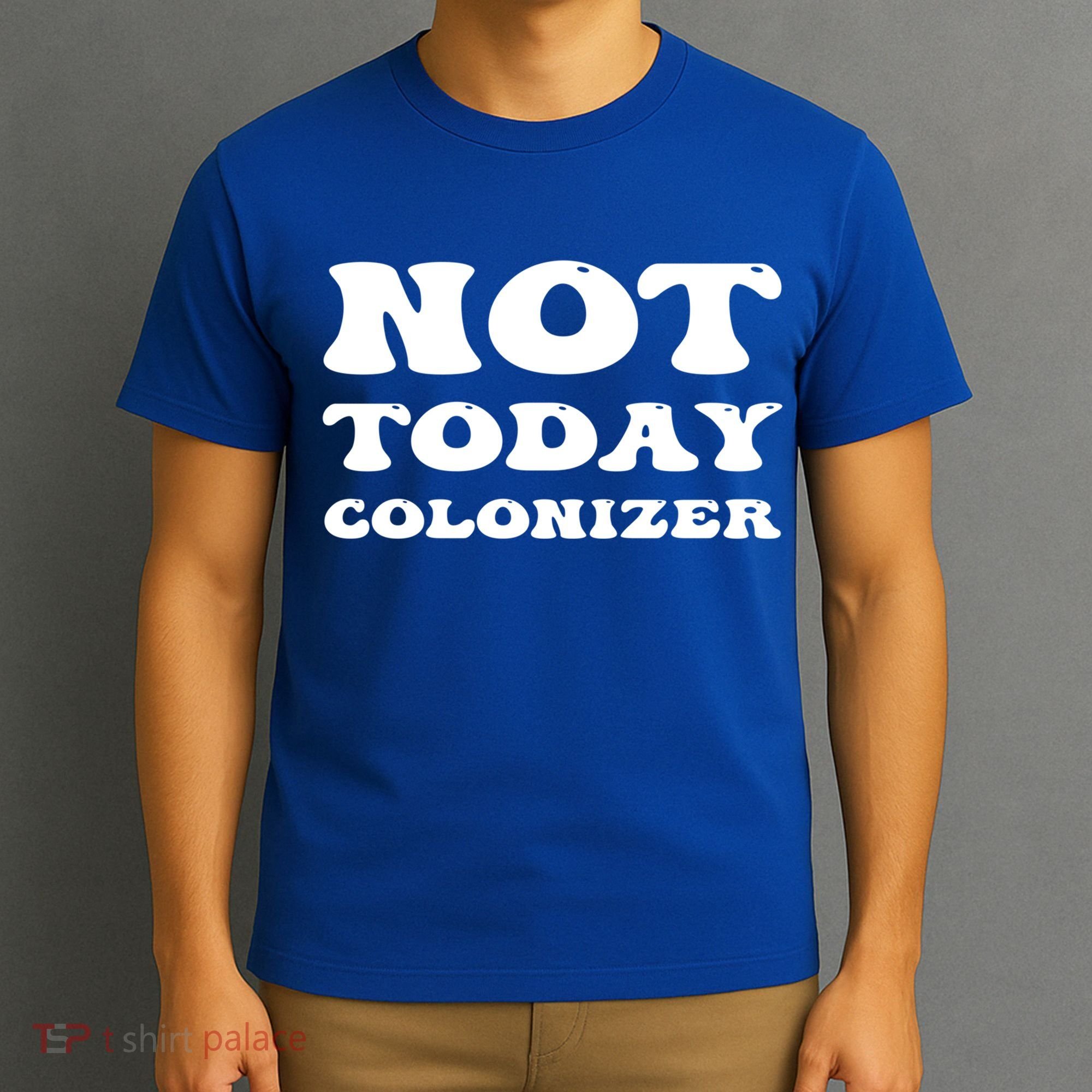 Not Today Colonizer Funny Indigenous Native American Gift T-Shirt