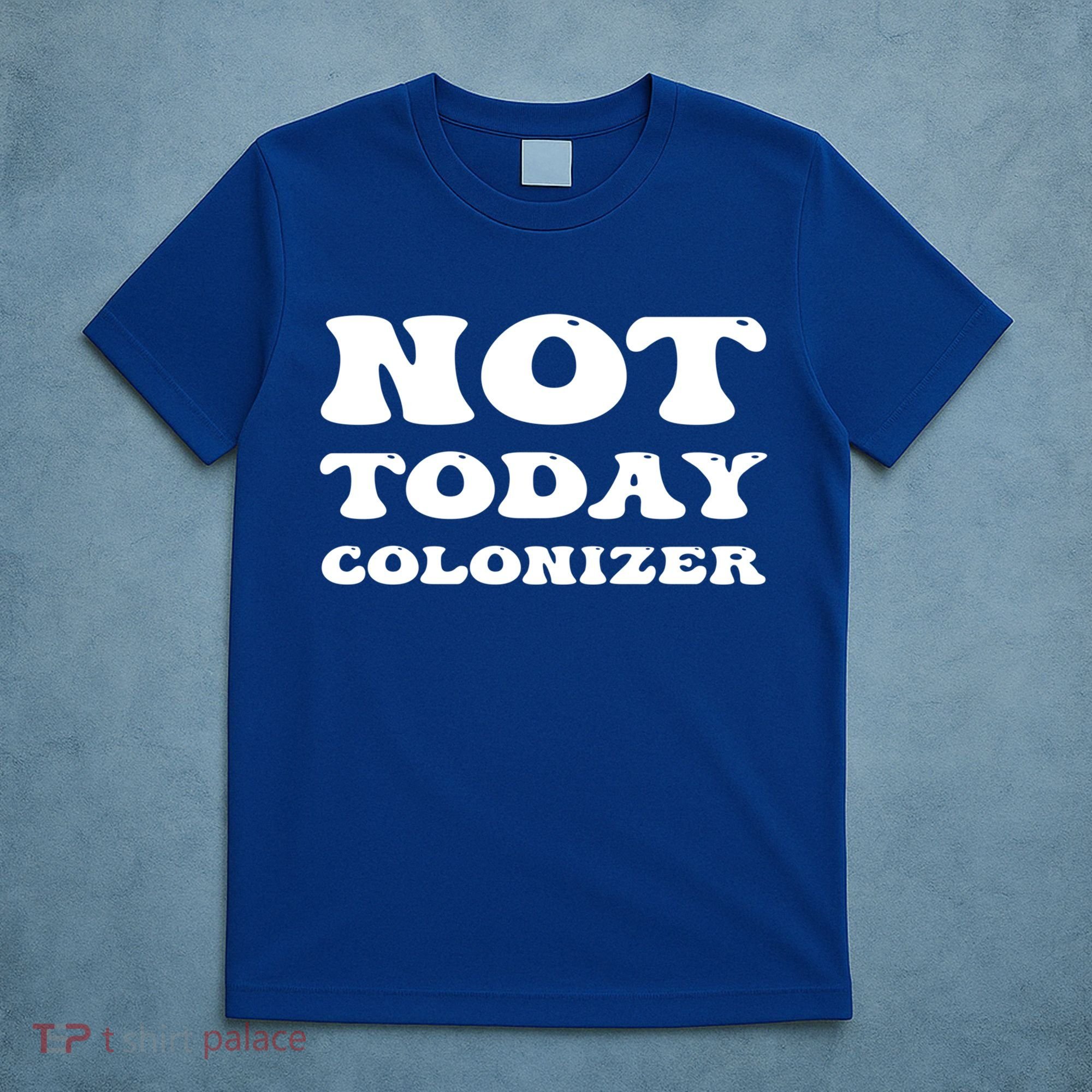 Not Today Colonizer Funny Indigenous Native American Gift T-Shirt
