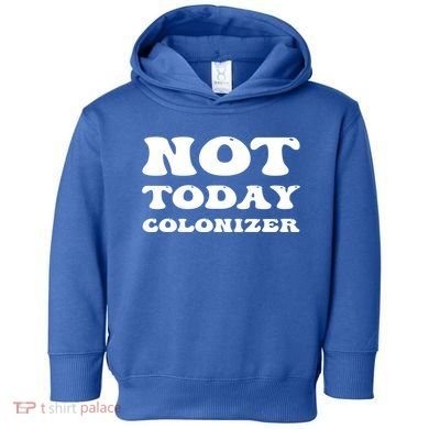 Not Today Colonizer Funny Indigenous Native American Gift Toddler Hoodie
