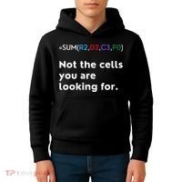 Not The Cells You Were Looking For Excel Accountant Funny Kids Hoodie thumb 4