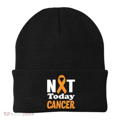 Not Today Cancer Fighter And Survivor Gift Beanie