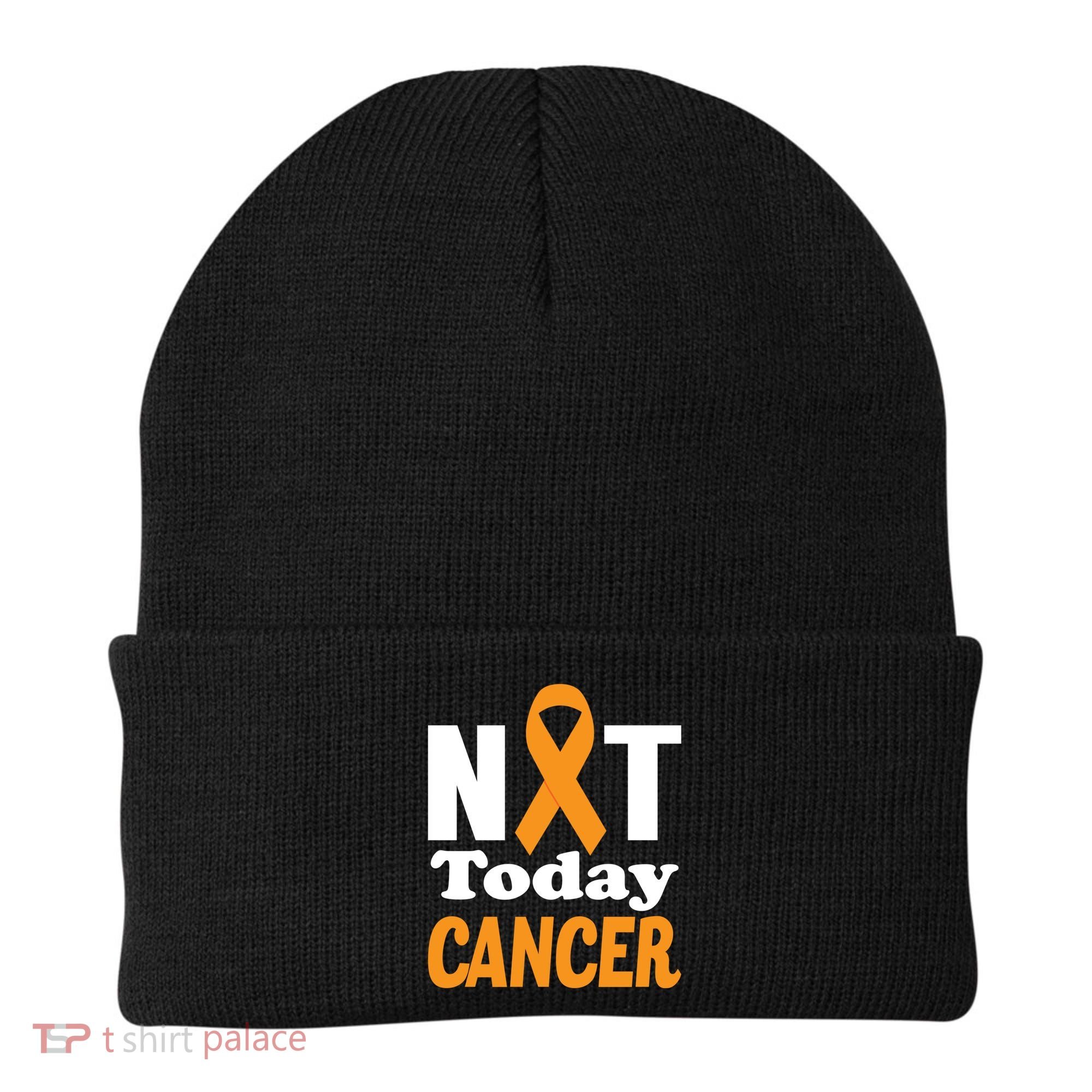 Not Today Cancer Fighter And Survivor Gift Beanie