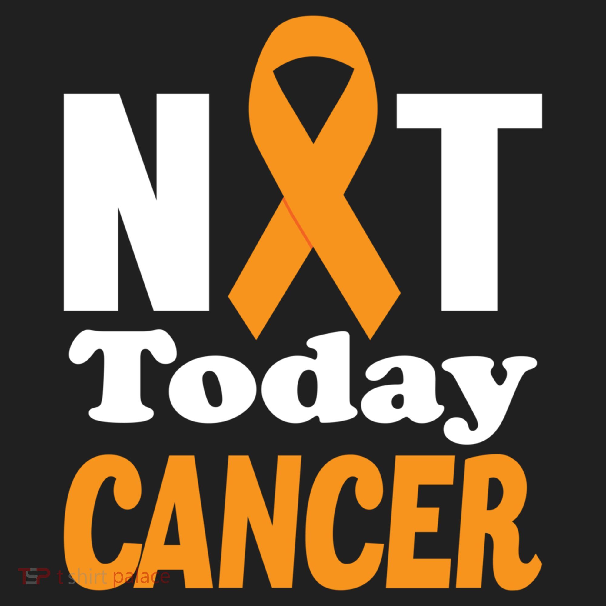Not Today Cancer Fighter And Survivor Gift Hat