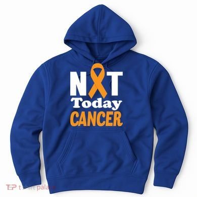 Not Today Cancer Fighter And Survivor Gift Hoodie