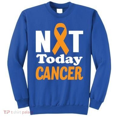 Not Today Cancer Fighter And Survivor Gift Sweatshirt