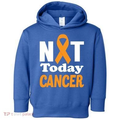 Not Today Cancer Fighter And Survivor Gift Toddler Hoodie