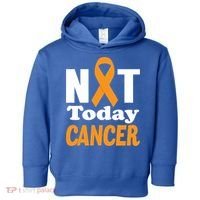 Not Today Cancer Fighter And Survivor Gift Toddler Hoodie thumb 0