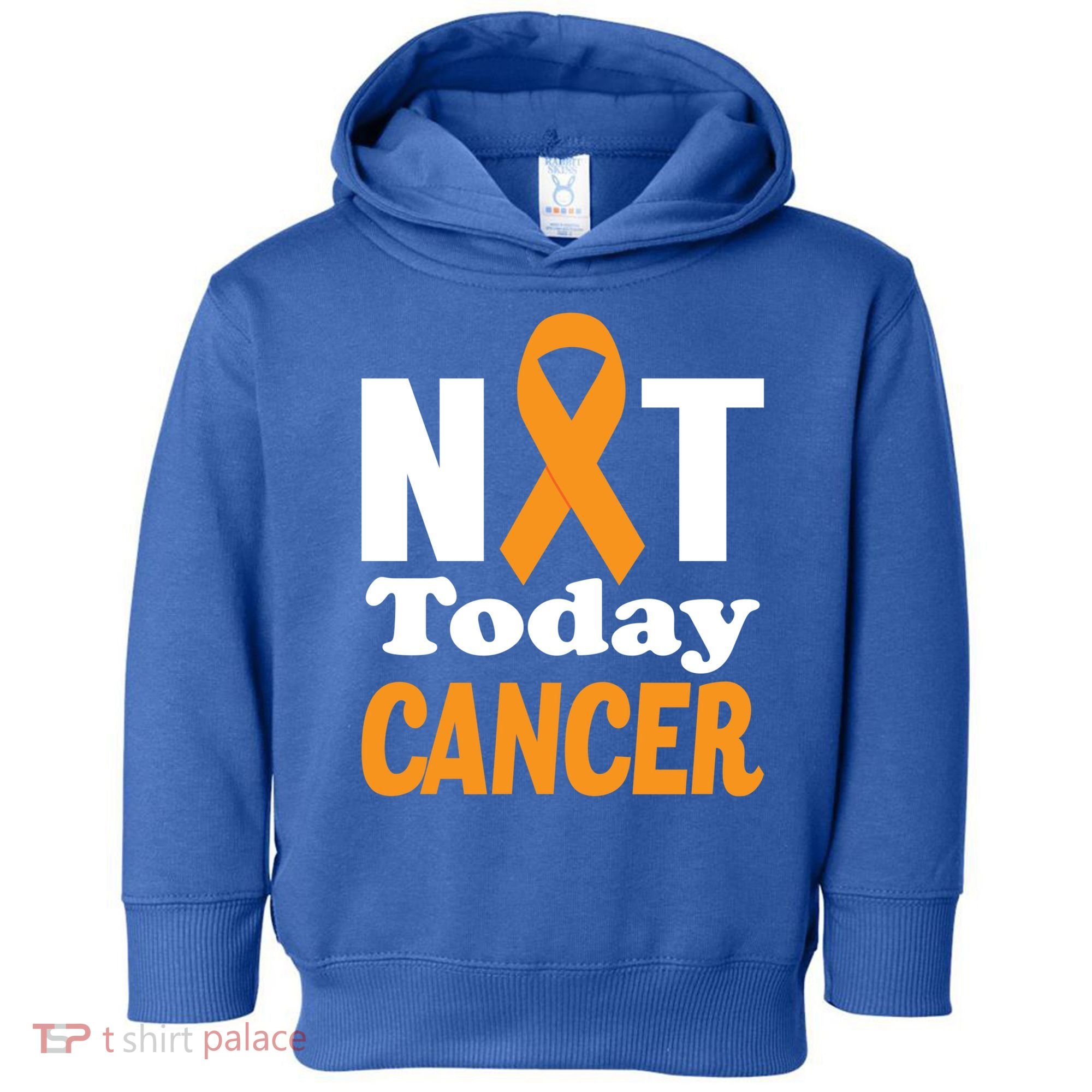 Not Today Cancer Fighter And Survivor Gift Toddler Hoodie