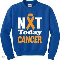 Not Today Cancer Fighter And Survivor Gift Kids Sweatshirt thumb 0