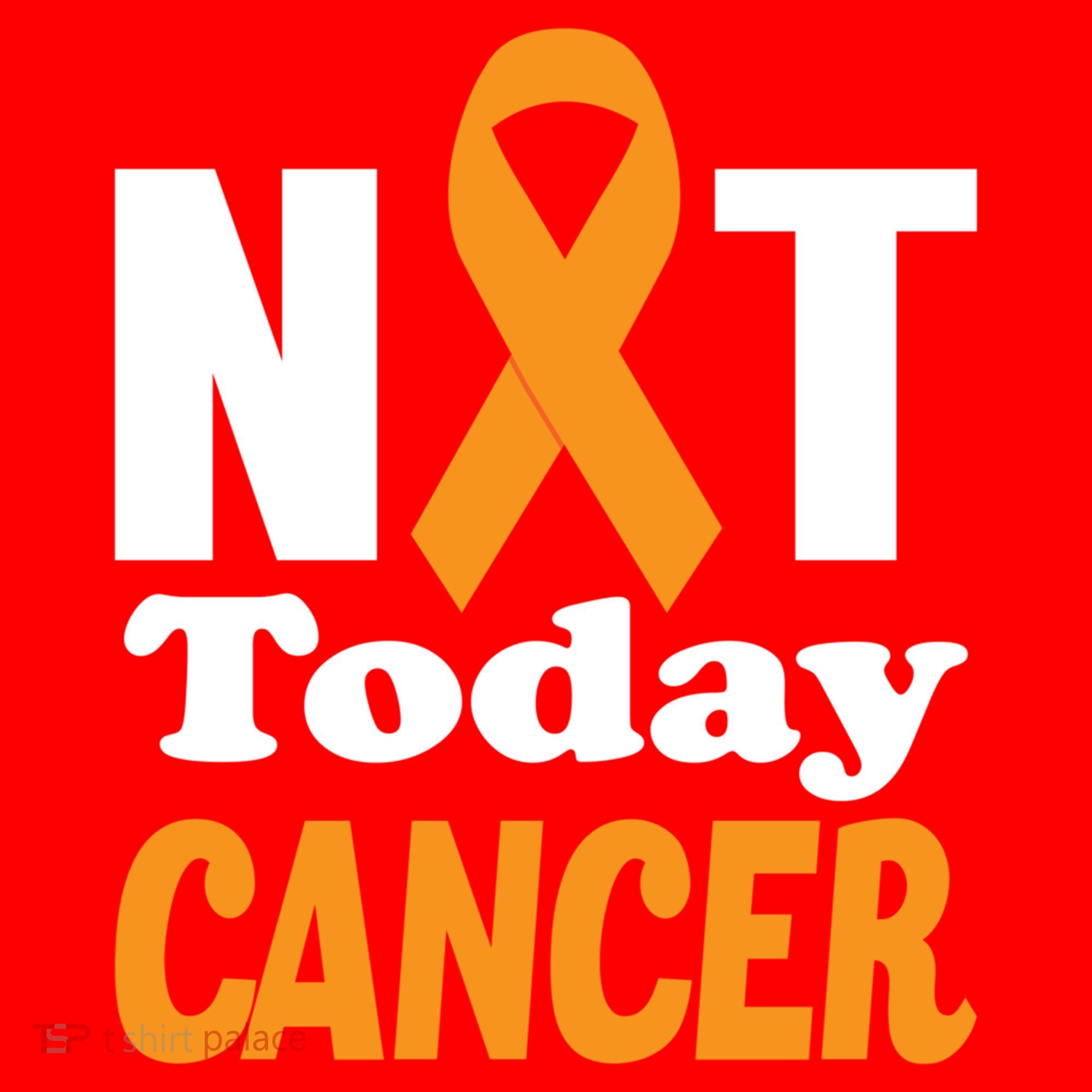 Not Today Cancer Fighter And Survivor Gift Santa Hat