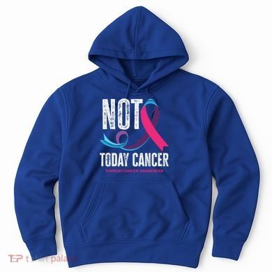 Not Today Cancer Support Thyroid Cancer Awareness Thyroid Cool Gift Hoodie