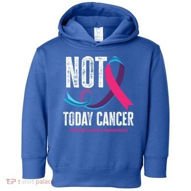 Not Today Cancer Support Thyroid Cancer Awareness Thyroid Cool Gift Toddler Hoodie