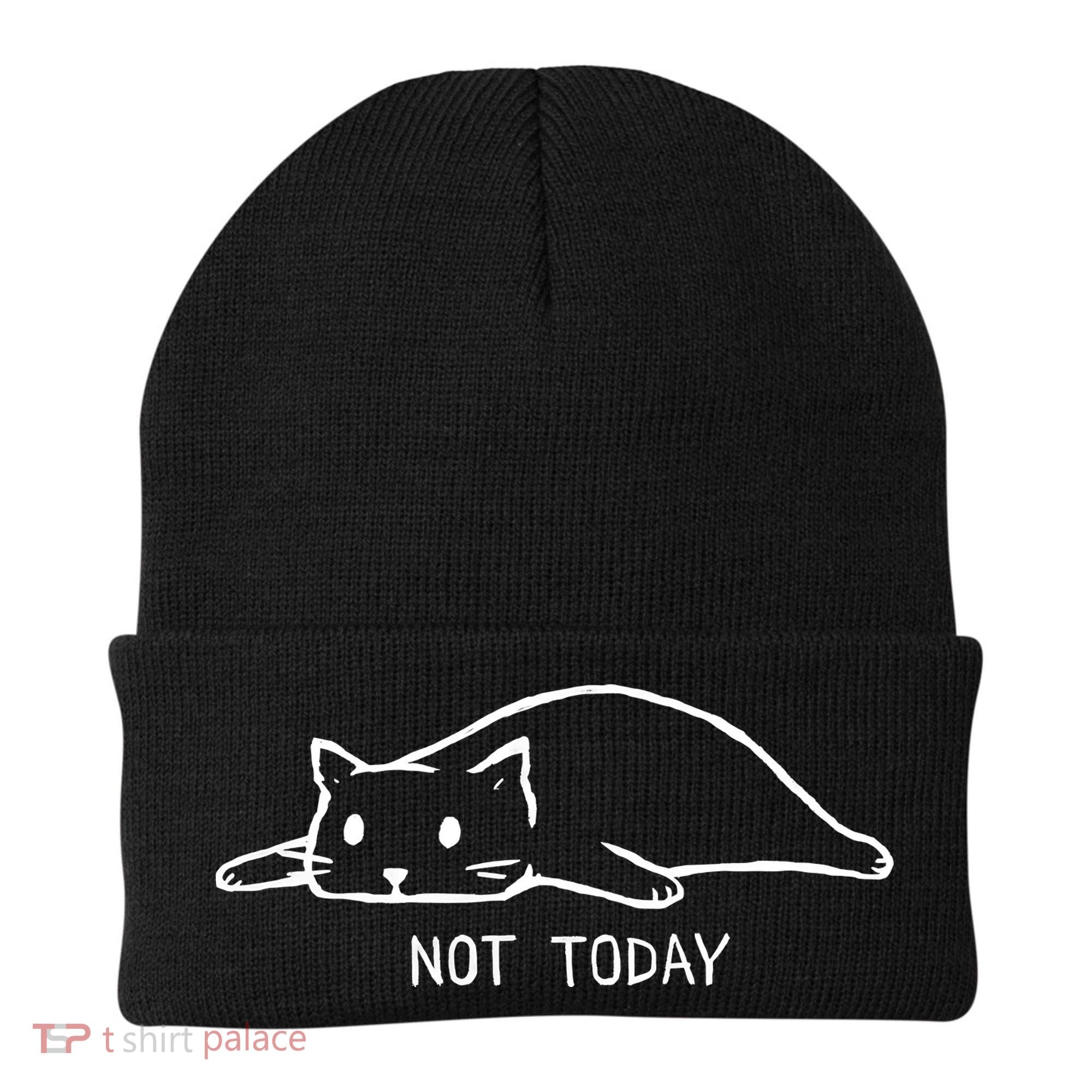 Not Today Crazy Cat Cute Cat For Lover Animal Tee Beanie
