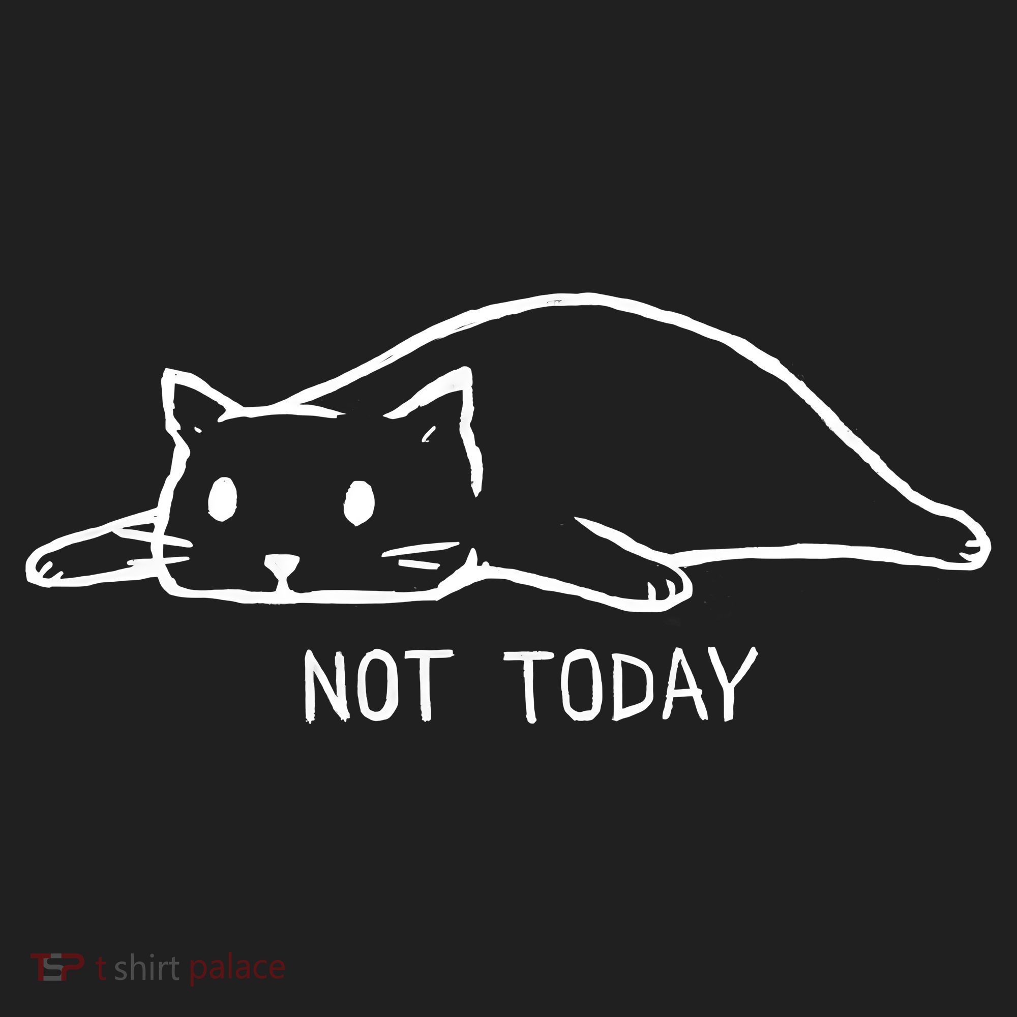 Not Today Crazy Cat Cute Cat For Lover Animal Tee Beanie