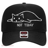 Not Today Crazy Cat Cute Cat For Lover Animal Tee Hat thumb 0