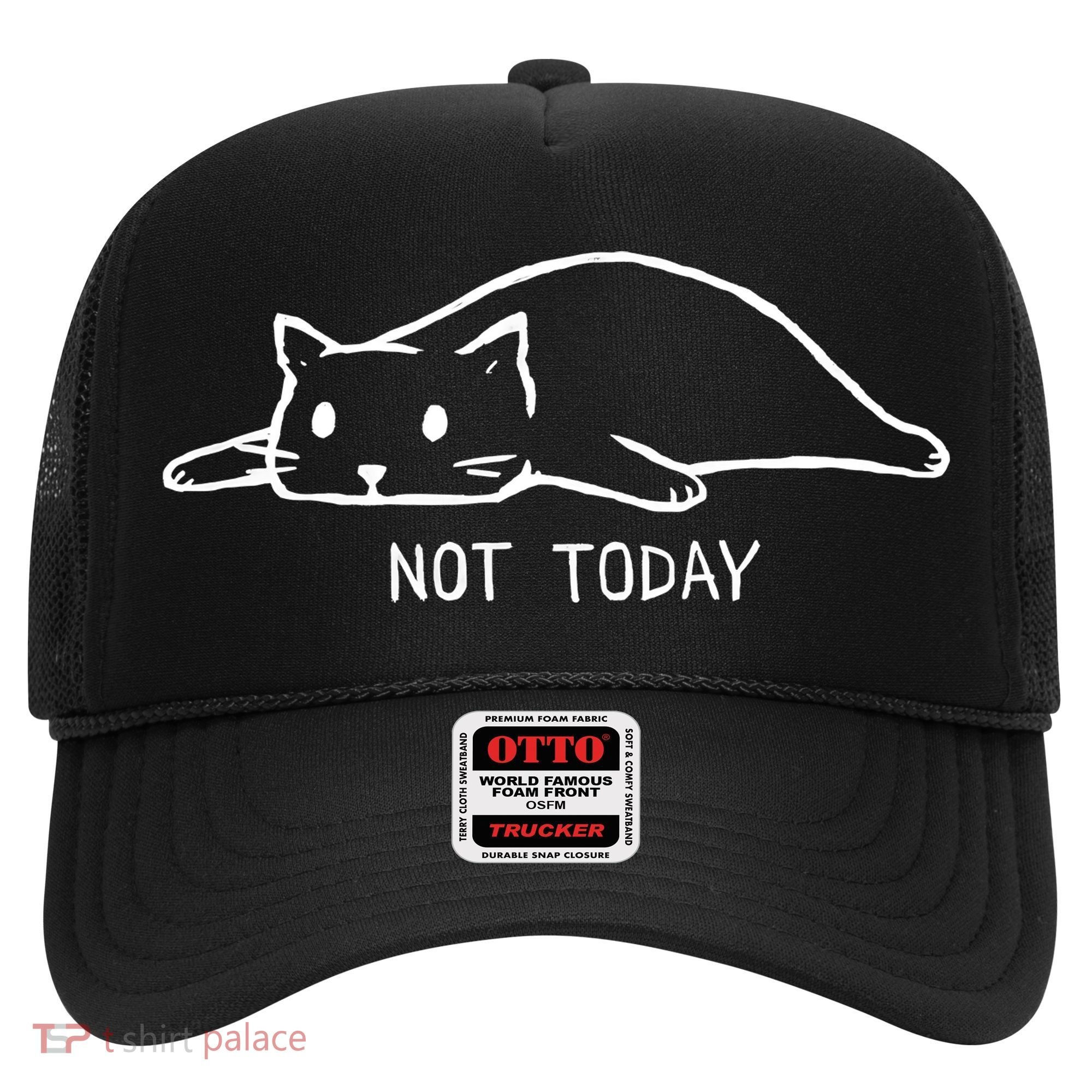 Not Today Crazy Cat Cute Cat For Lover Animal Tee Hat