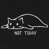 Not Today Crazy Cat Cute Cat For Lover Animal Tee Kids Long Sleeve Shirt thumb 2