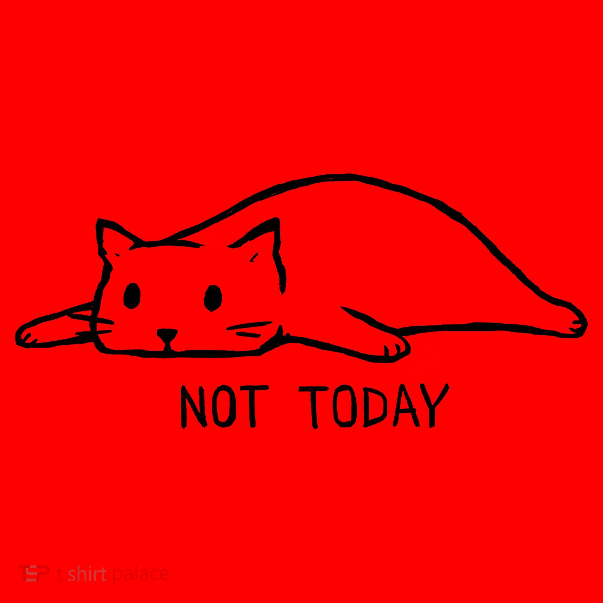 Not Today Crazy Cat Cute Cat For Lover Animal Tee Santa Hat