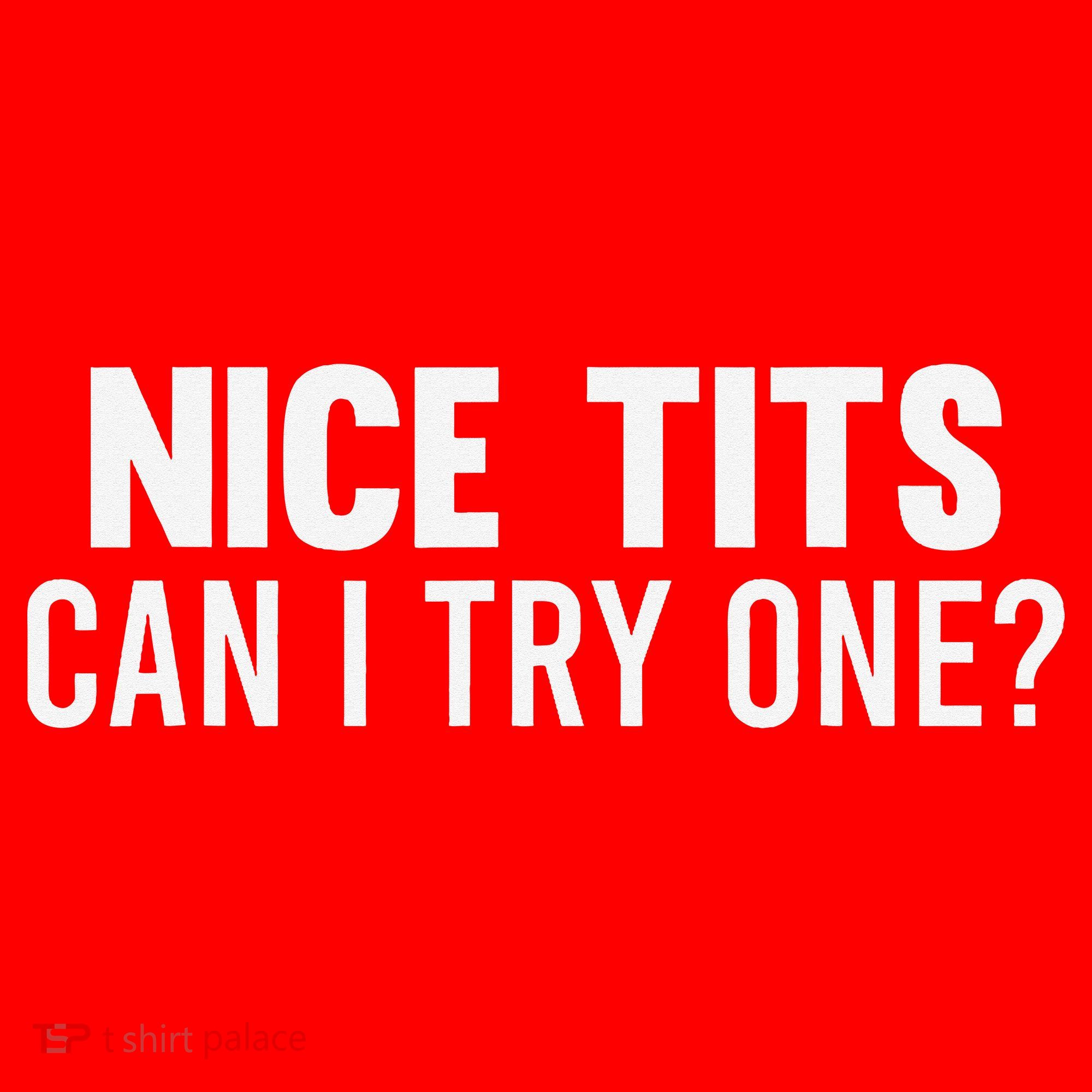 Nice Tits Can I Try One Funny Humor Dirty Jokes Santa Hat