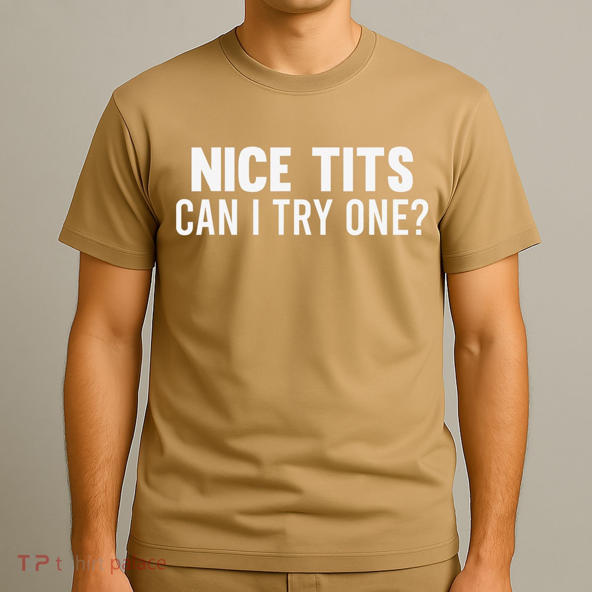 Nice Tits Can I Try One Funny Humor Dirty Jokes T-Shirt