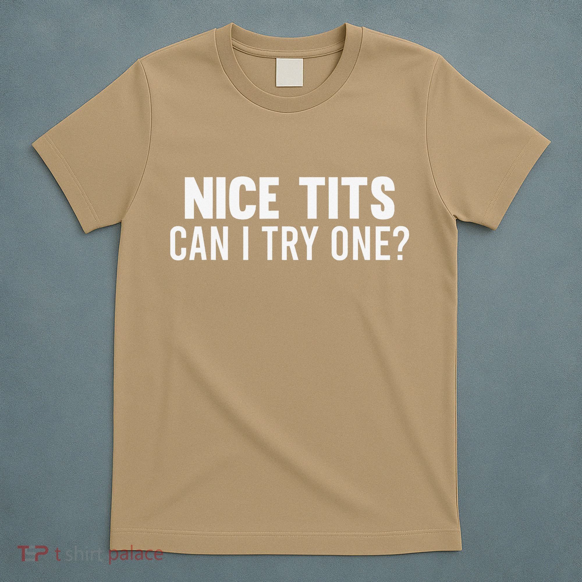 Nice Tits Can I Try One Funny Humor Dirty Jokes T-Shirt