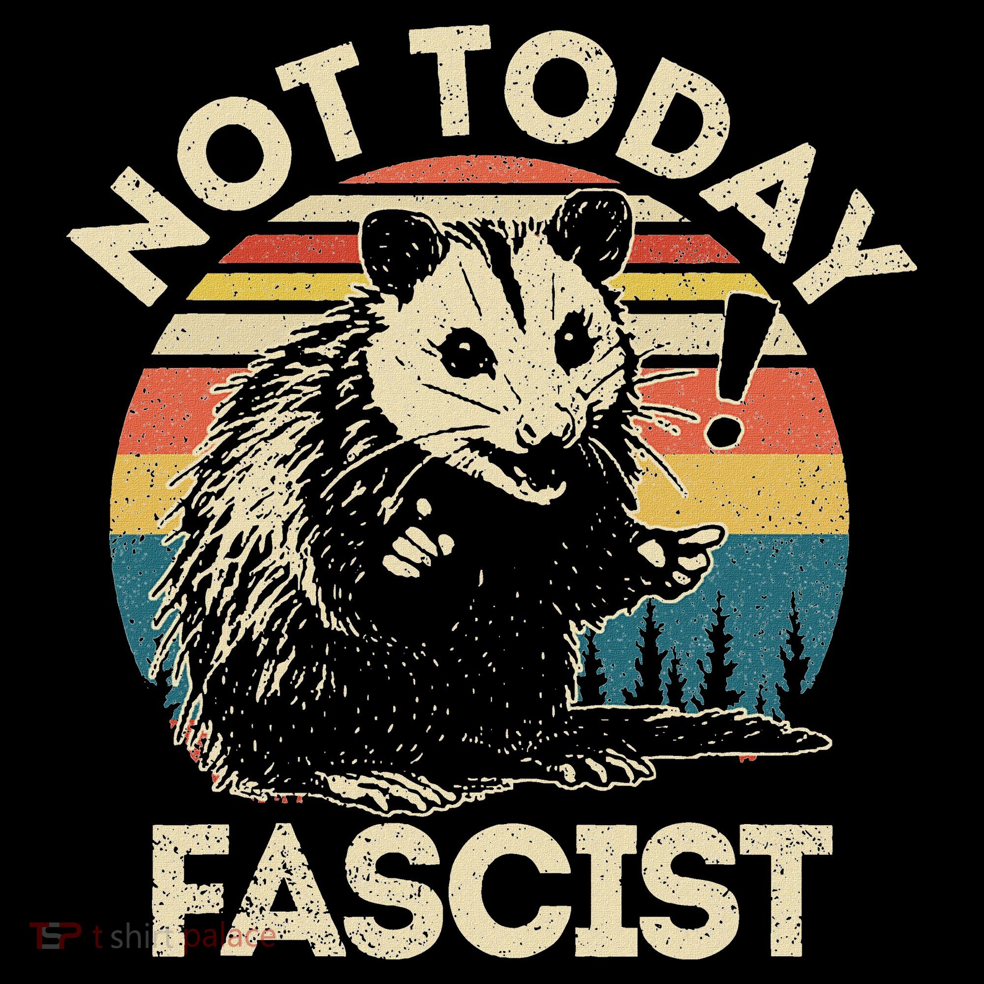 Not Today Fascist Opossum Social Possum Women's Hoodie