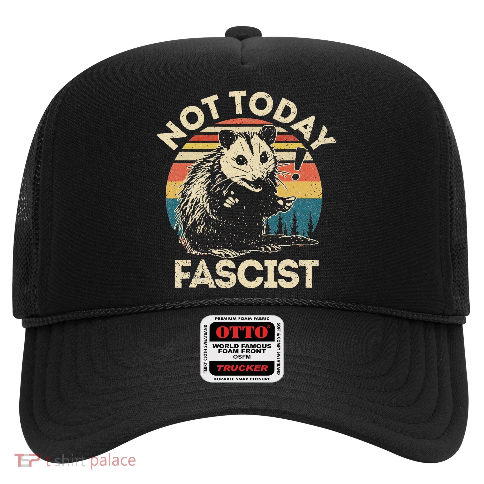 Not Today Fascist Opossum Social Possum Hat