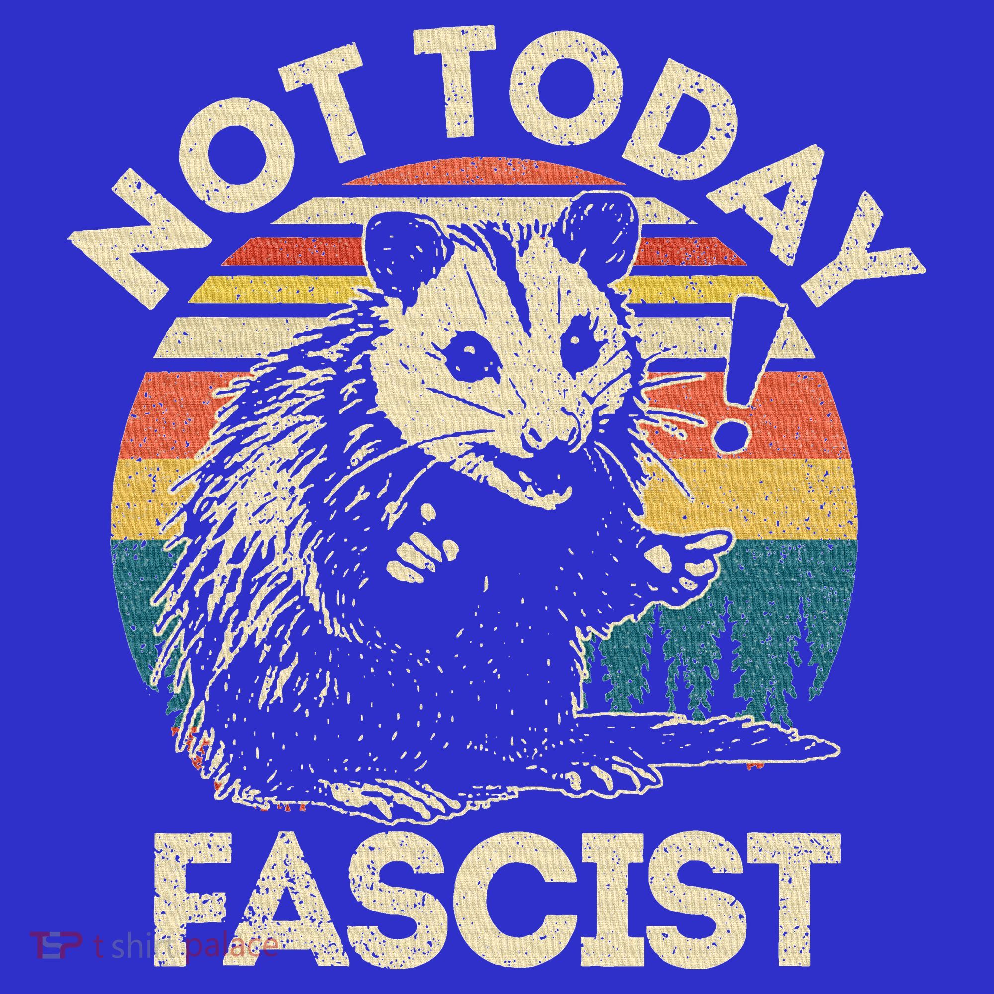 Not Today Fascist Opossum Social Possum Apron