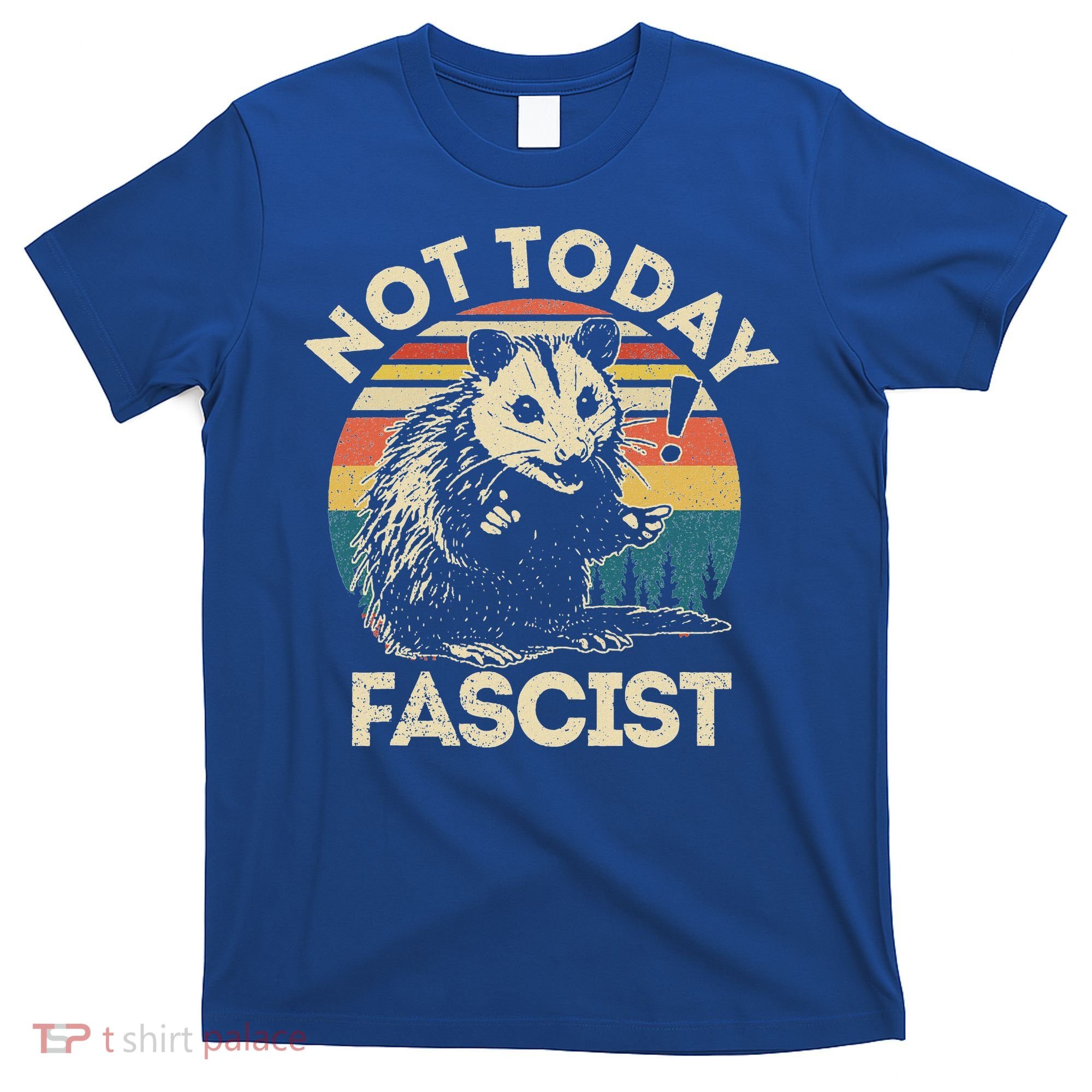 Not Today Fascist Opossum Social Possum T-Shirt