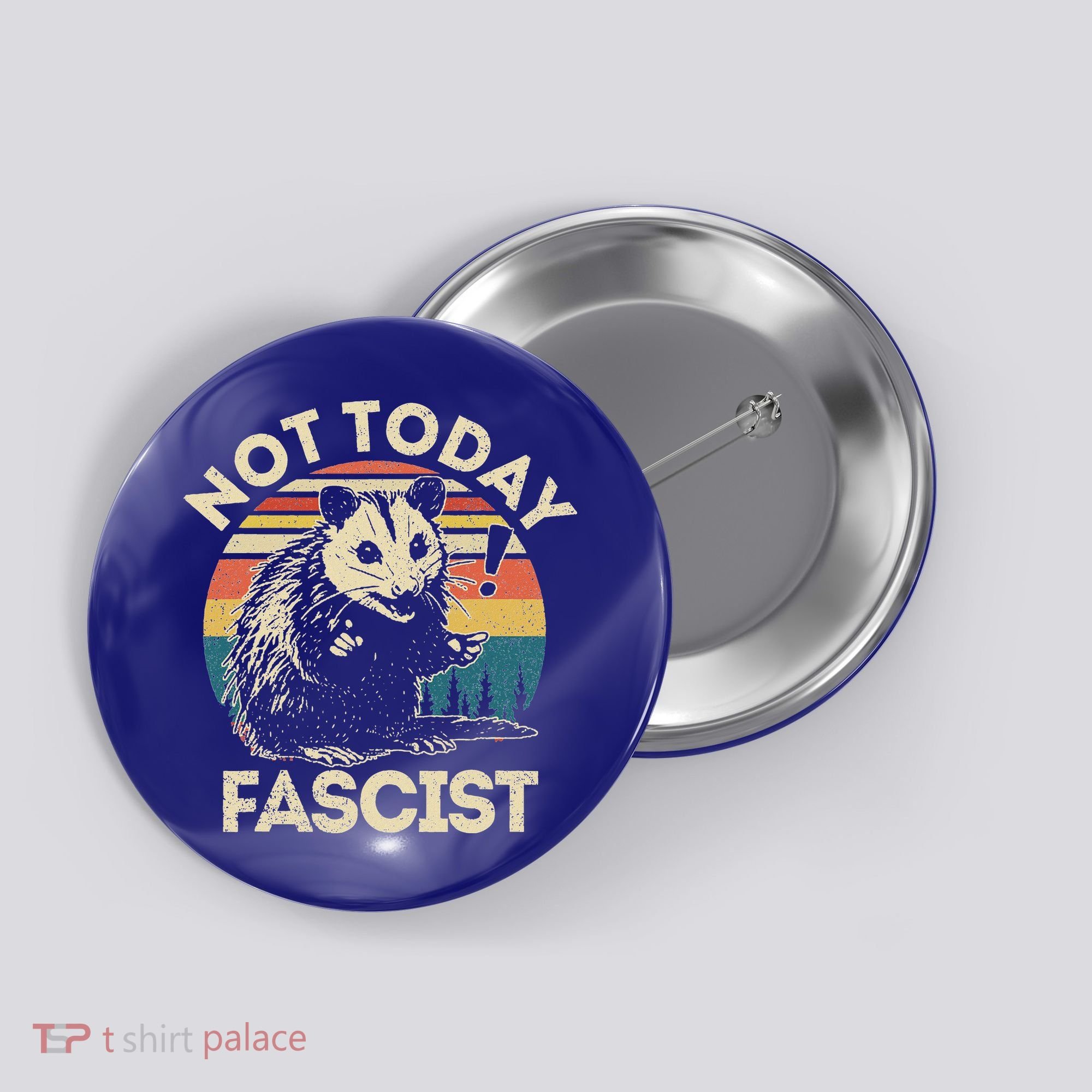 Not Today Fascist Opossum Social Possum Button