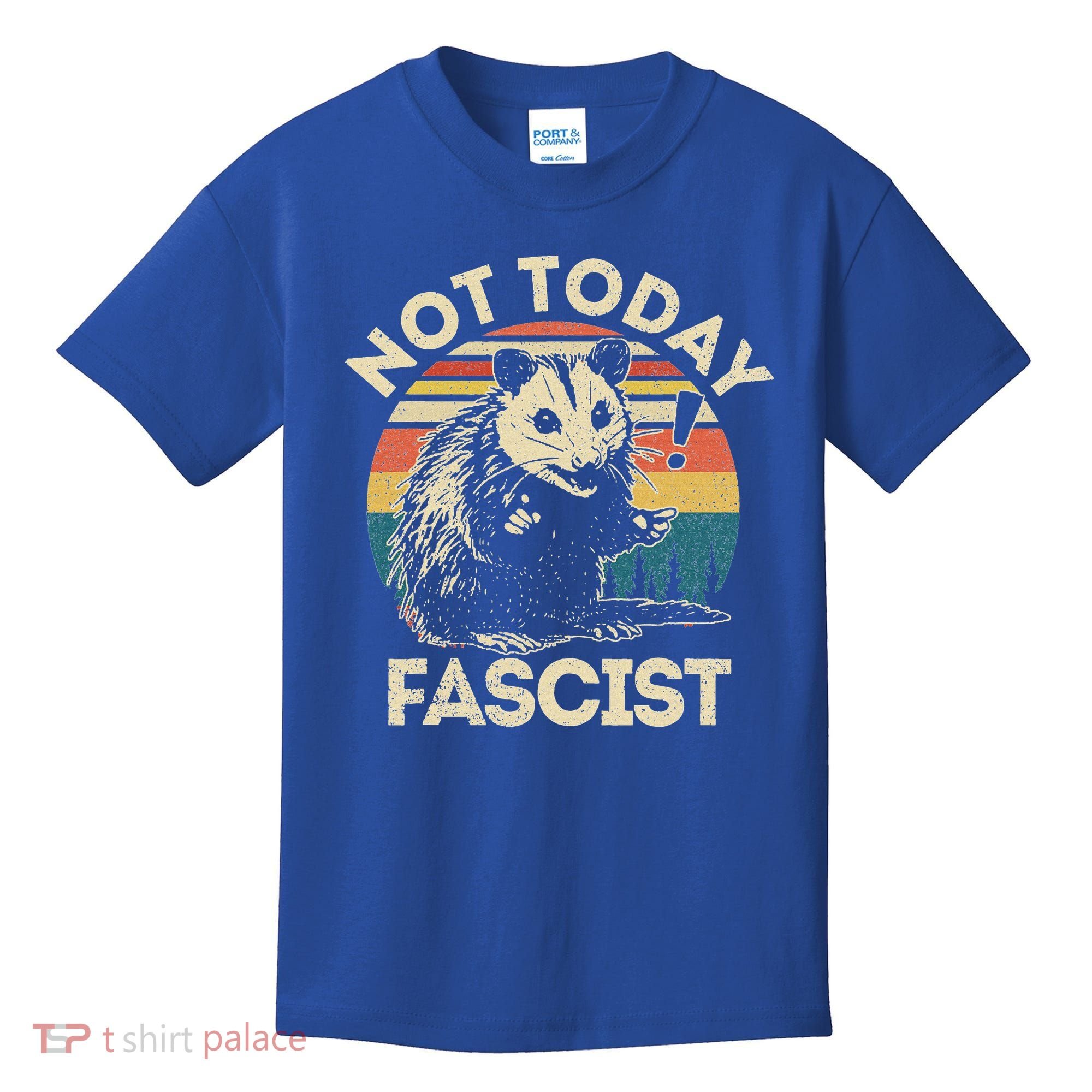Not Today Fascist Opossum Social Possum Kids T-Shirt