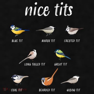 Nice Tits Funny Bird Watching Gift Dad Ladies PosiCharge Tri-Blend Wicking Tank